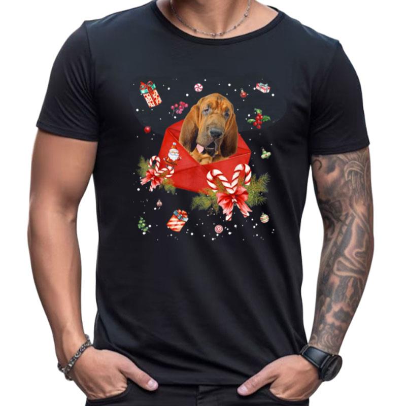 Bloodhound Dog In Christmas Card Ornament Pajama Xmas Shirts For Women Men