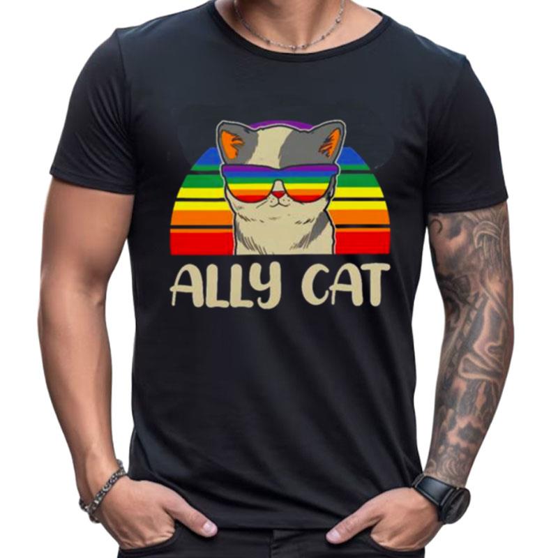 Lgbt All Cat Vintage Shirts For Women Men